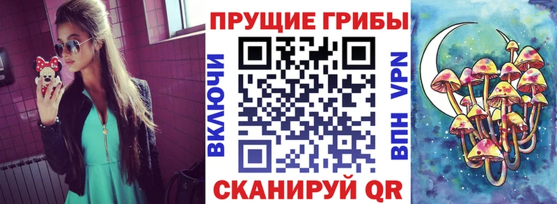 Псилоцибиновые грибы Psilocybe  Купить где  Туймазы 